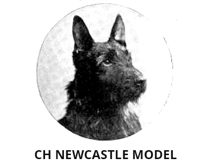 NEWCASTLE