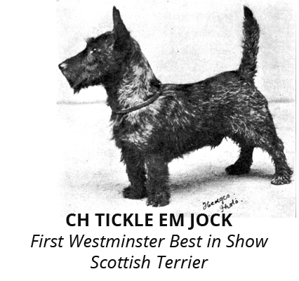 tickleem