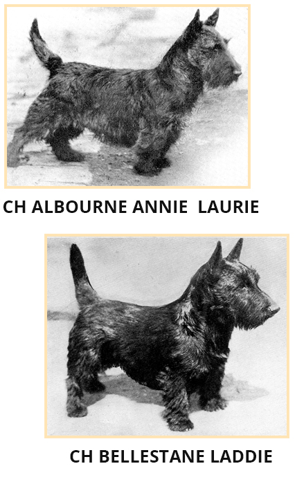 annie