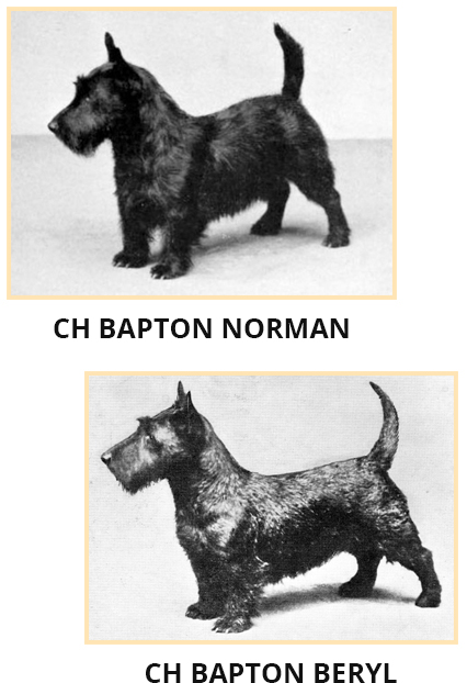 bampton