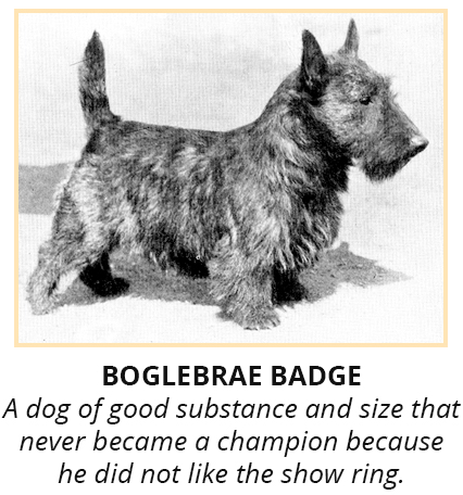 bogle