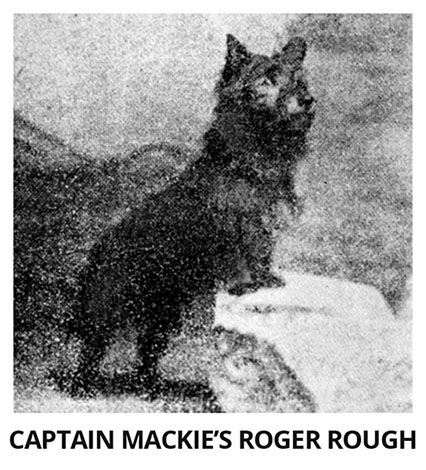RogerRoughbox2