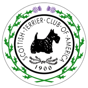 STCA Pin Thistle Laurel-small
